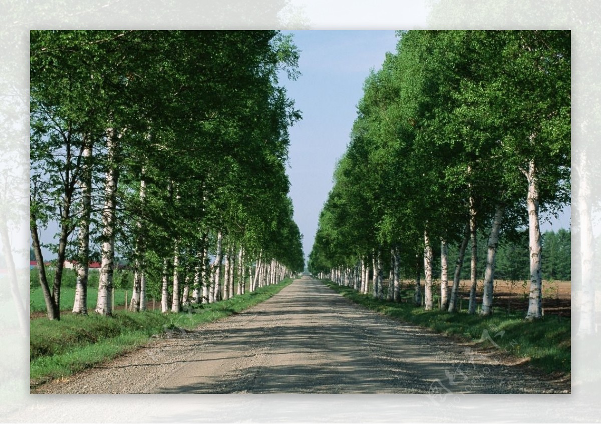 乡间小路风景图片