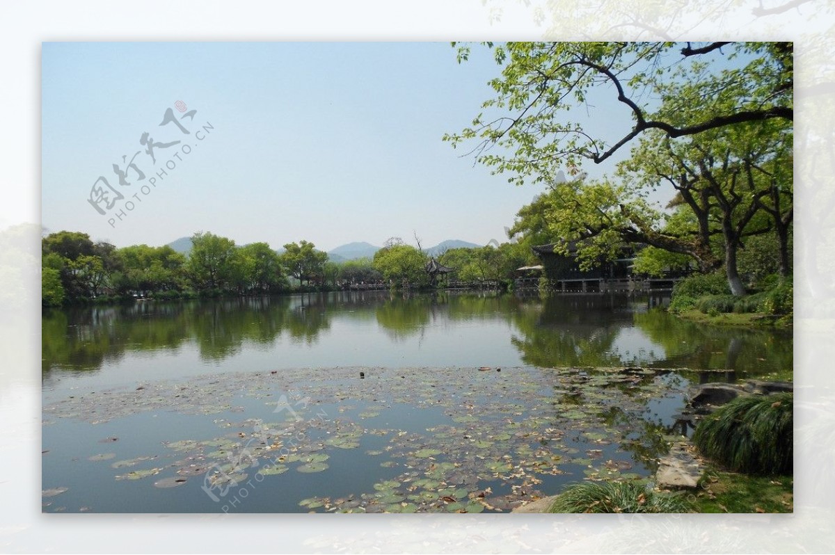 西湖三潭映月景观图片