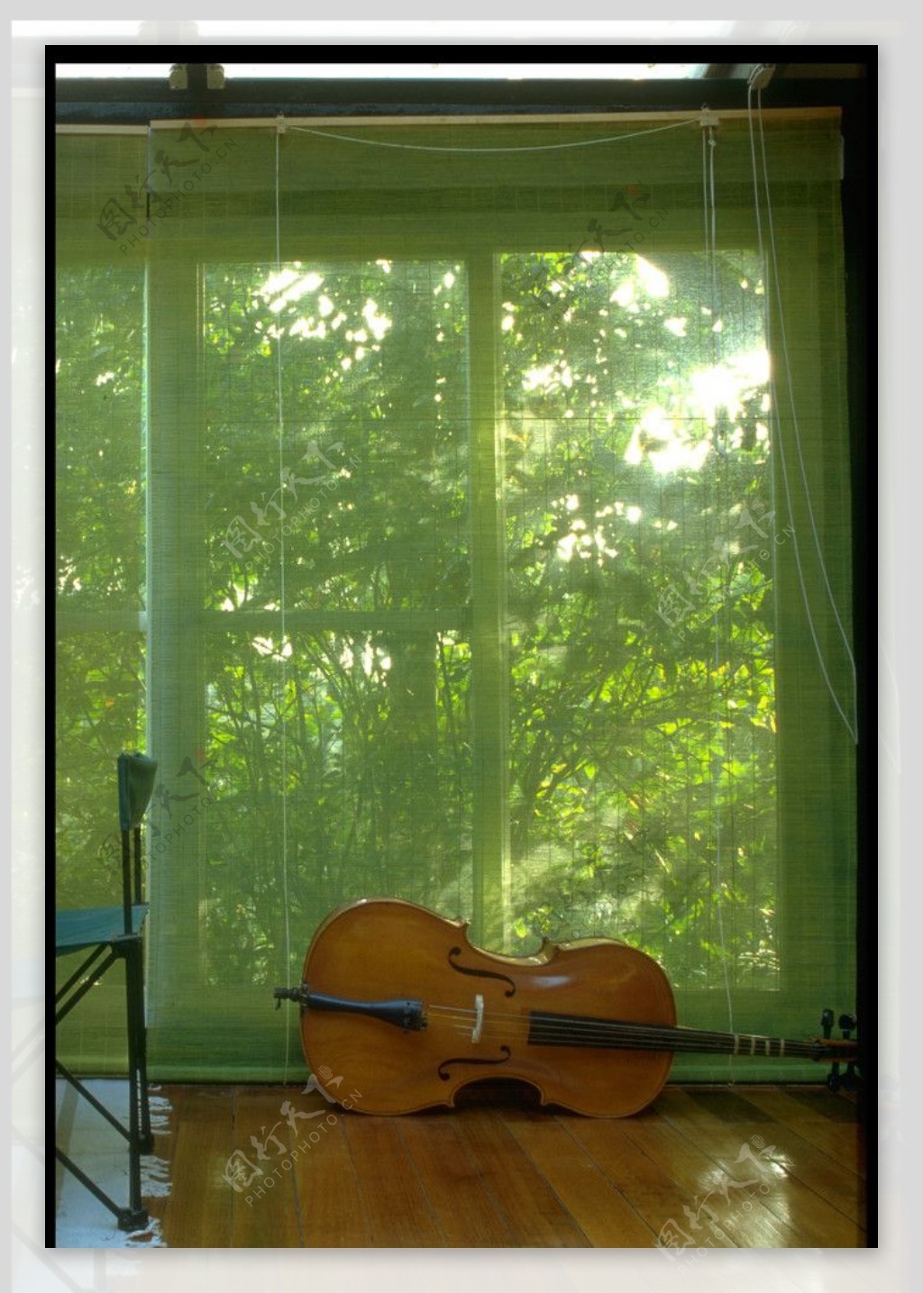 落地窗前的大提琴图片