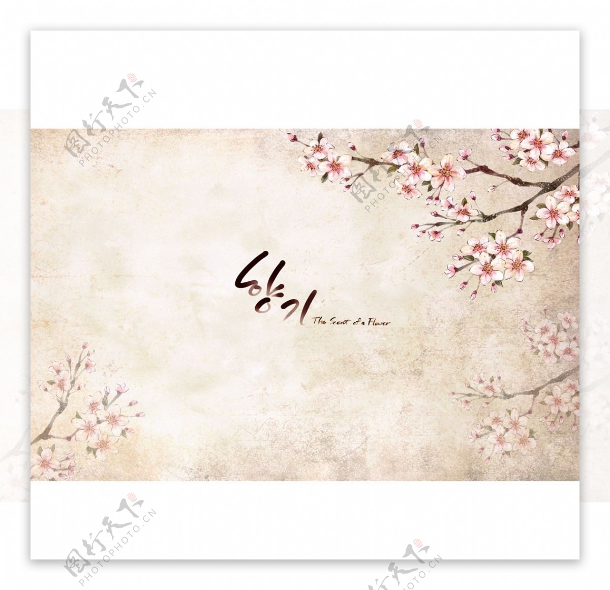 韩国手绘桃花图片