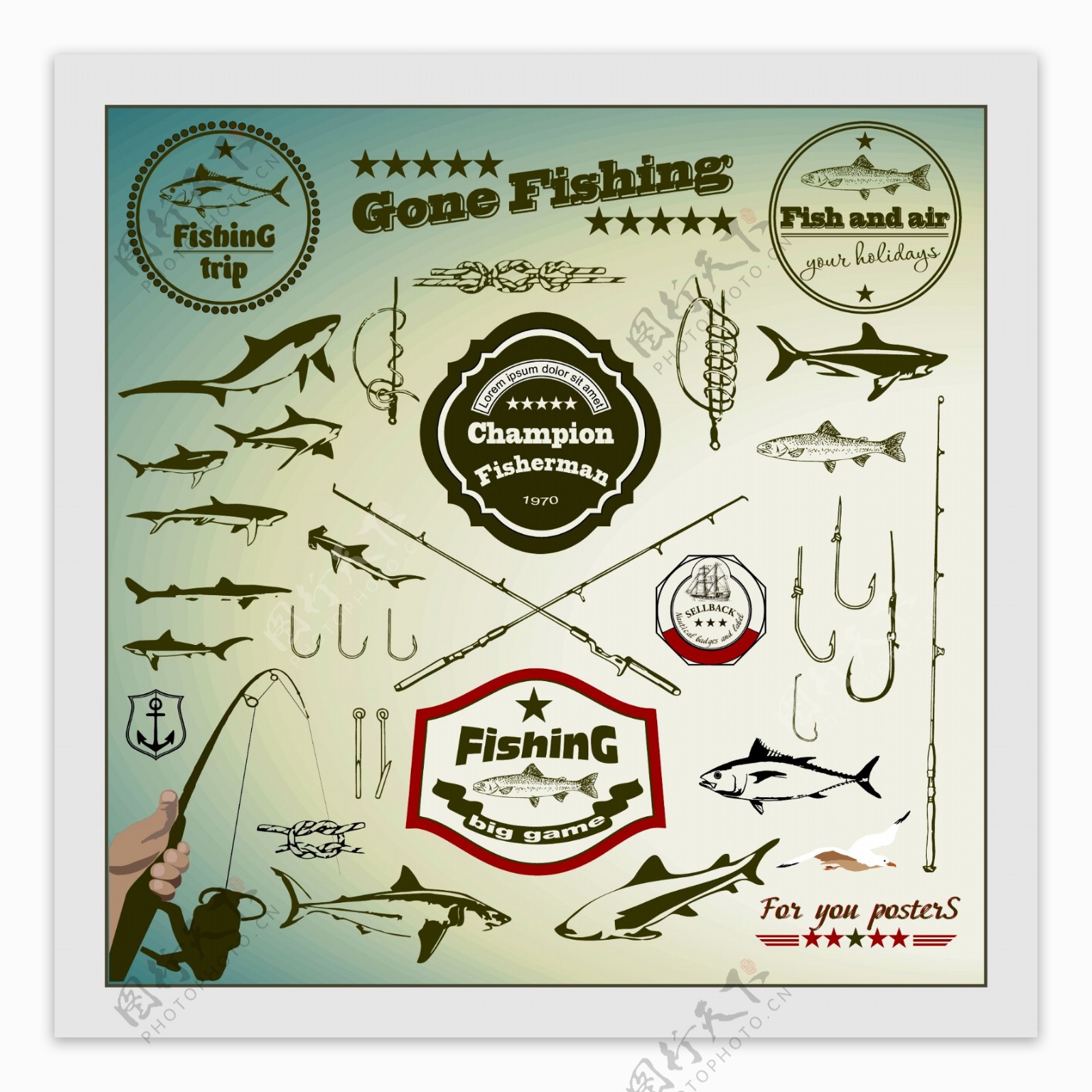 钓鱼设计钓鱼图标图片