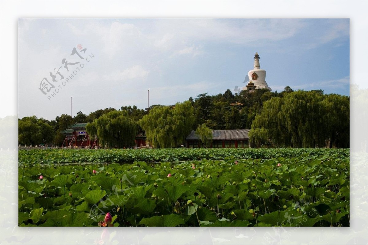 北京北海公园图片