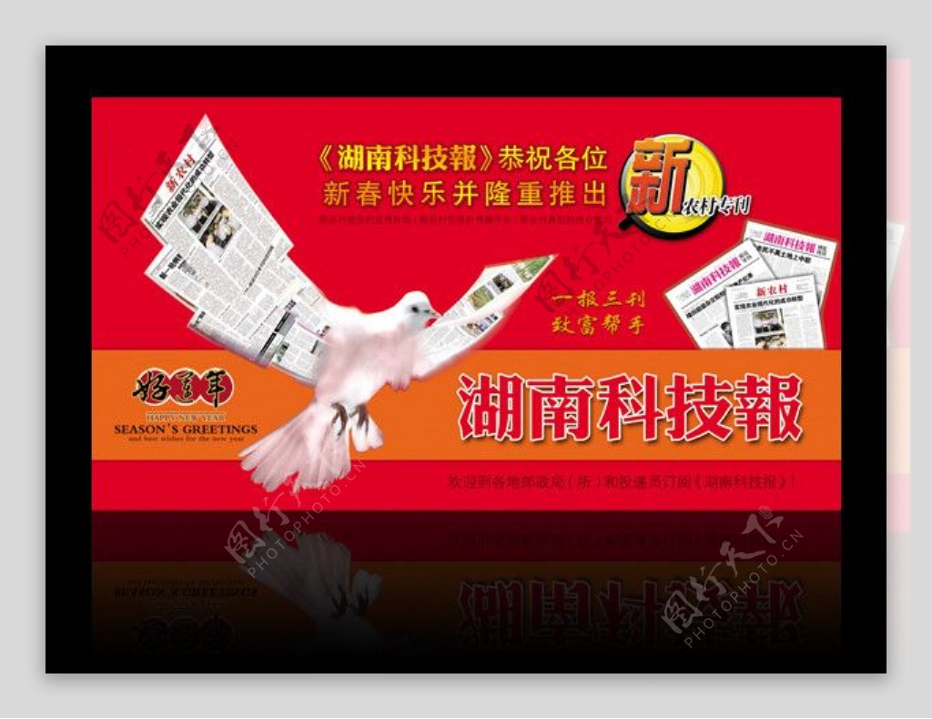 湖南科技报明信片鸽子版图片