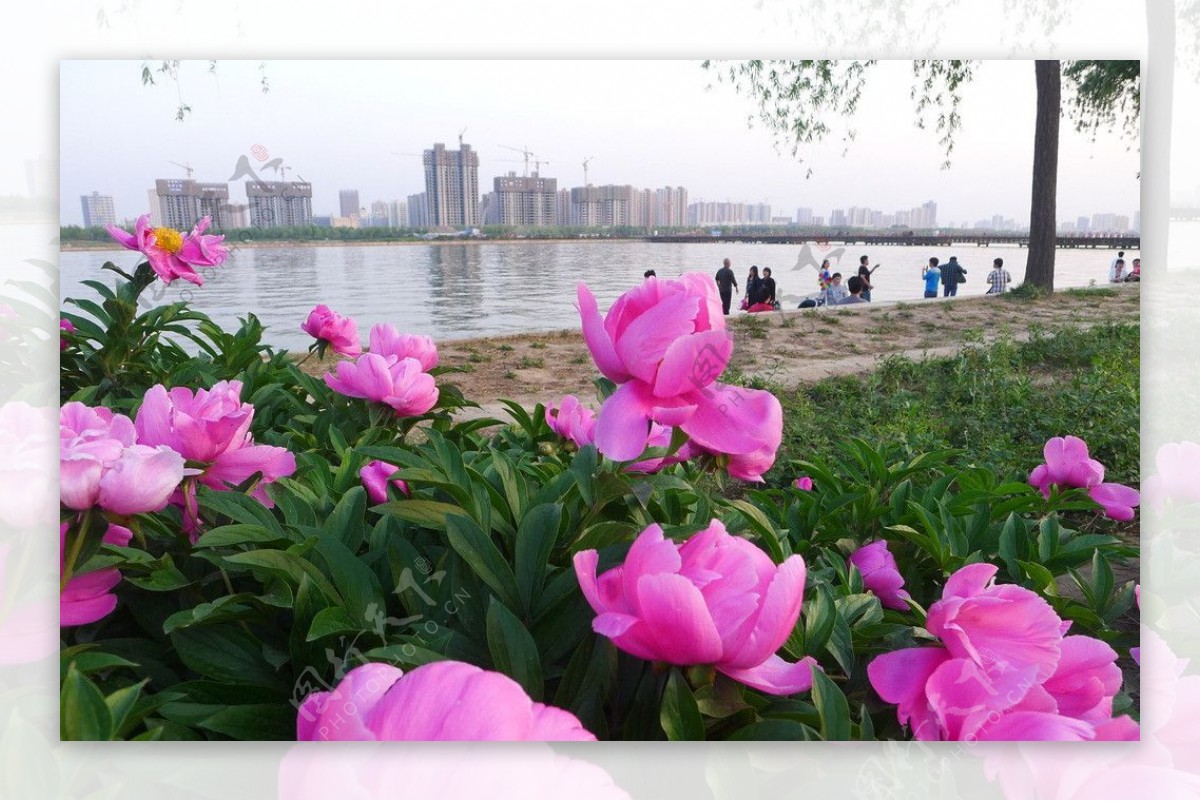 泾渭湖畔图片