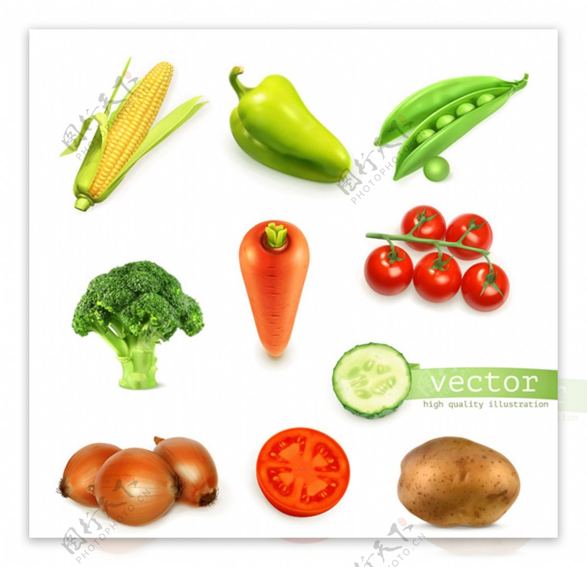 蔬菜图标设计矢量素材图片