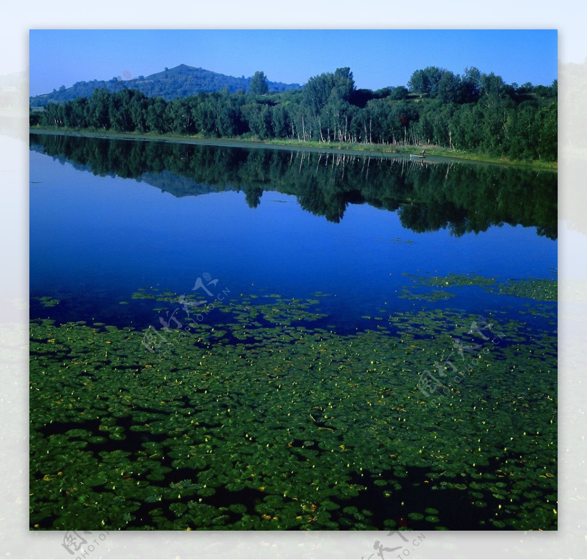泰丰湖图片
