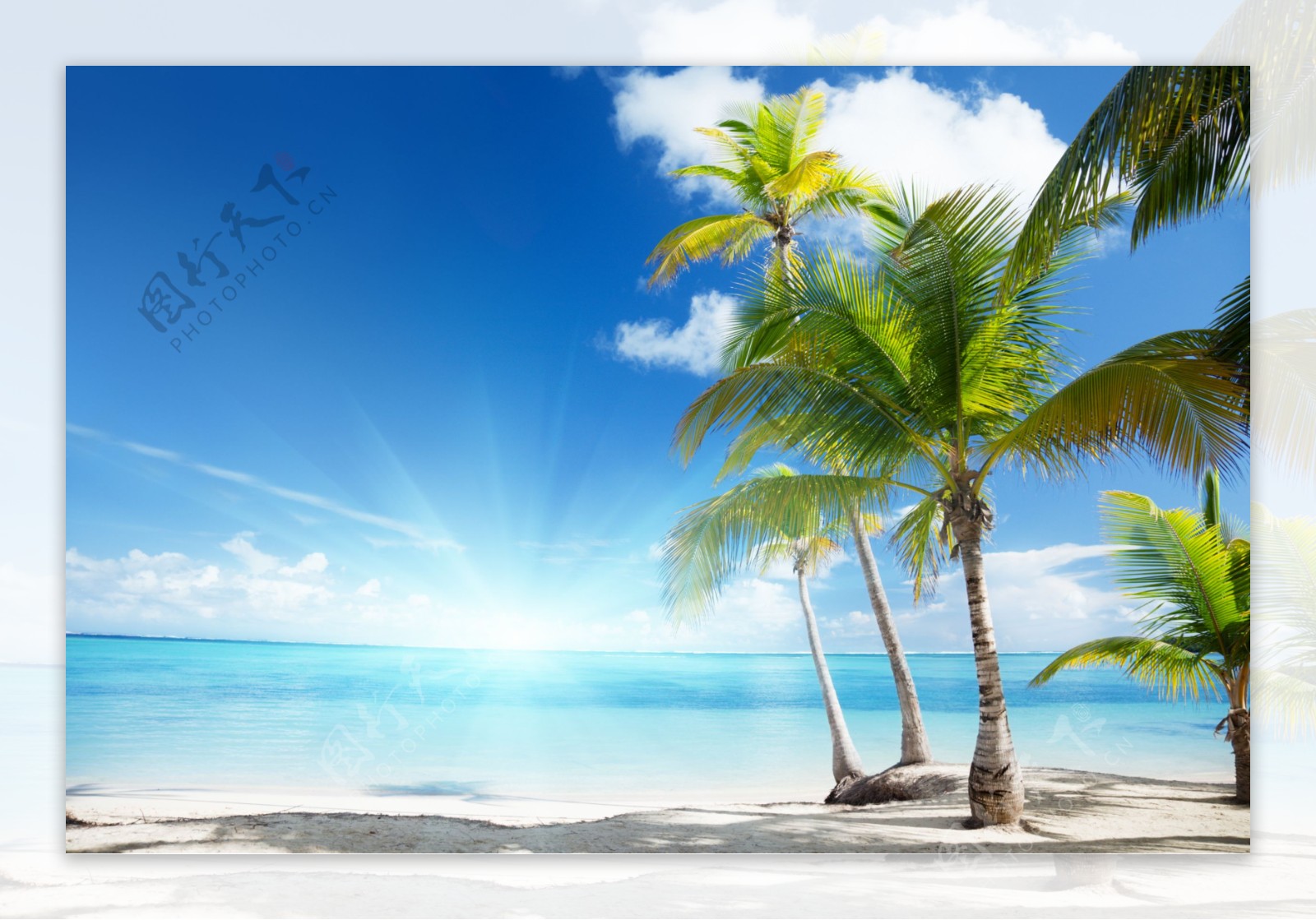 大海沙滩椰树图片素材-编号11522105-图行天下