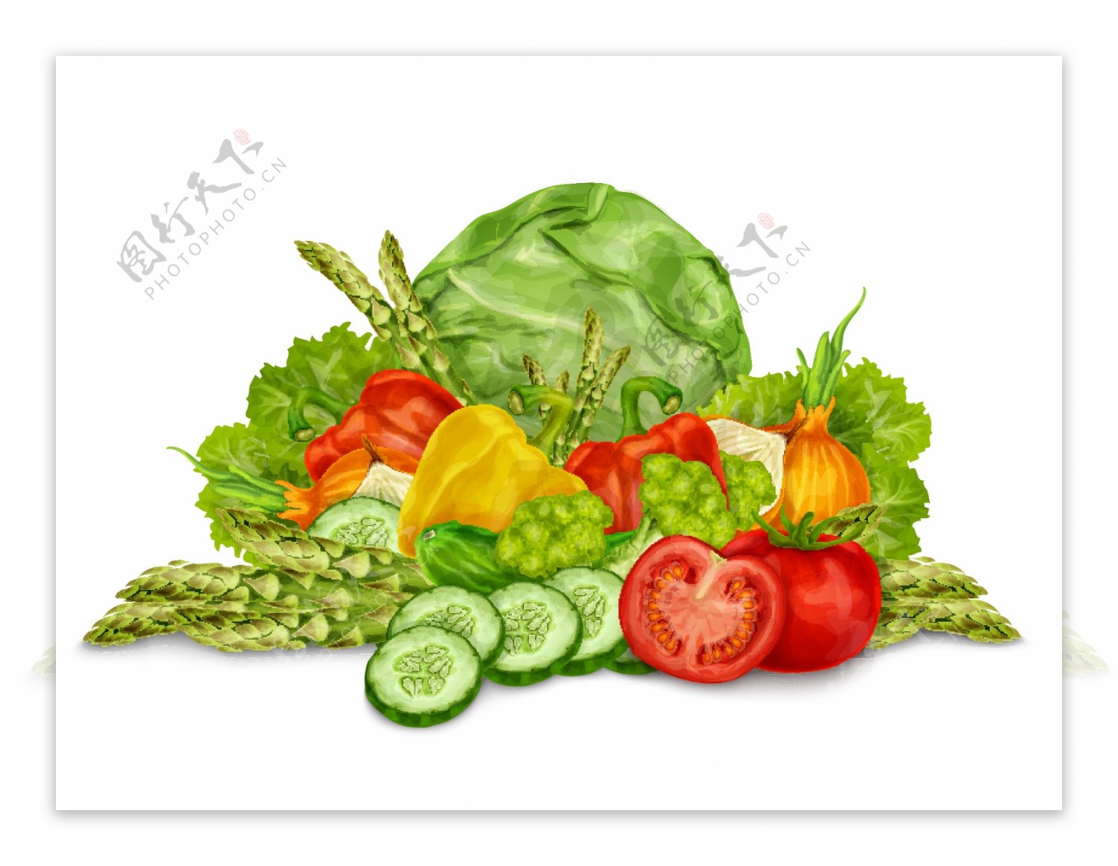 蔬菜矢量图图片