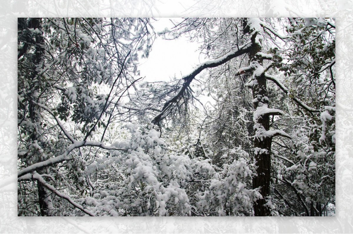 雪景图片