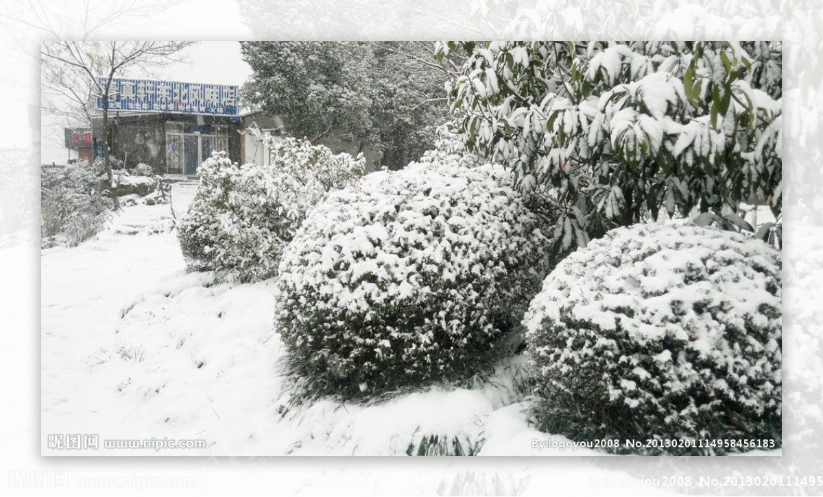 雪景图片