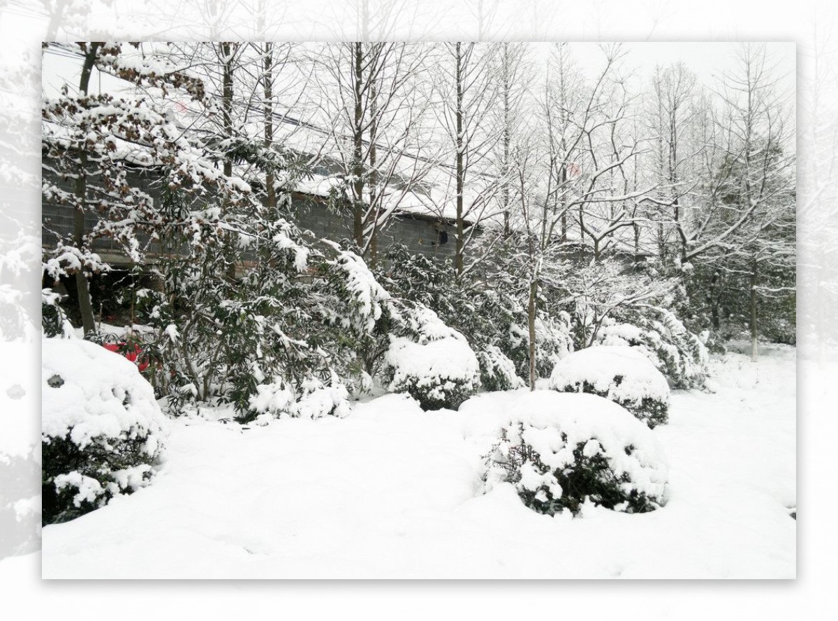 雪景图片