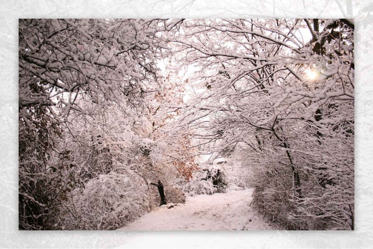 法国乡村雪景图片