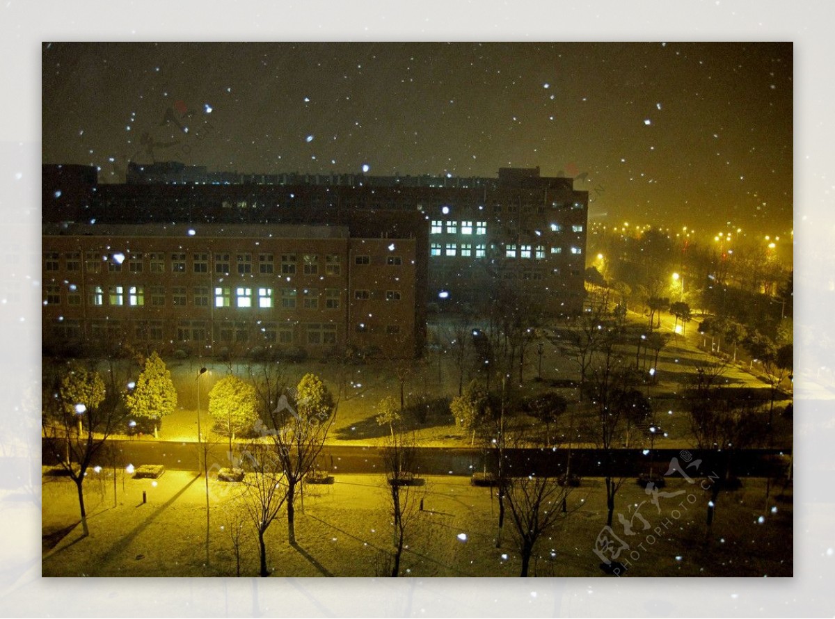 夜晚的雪景图片