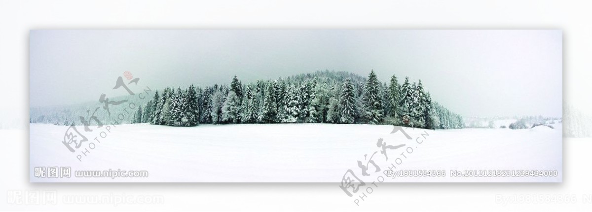 冬季雪景全景图图片