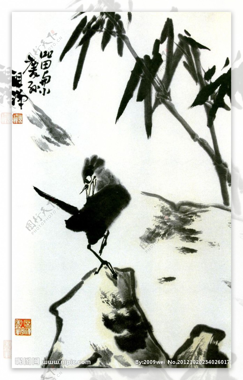 竹子小鸟图片