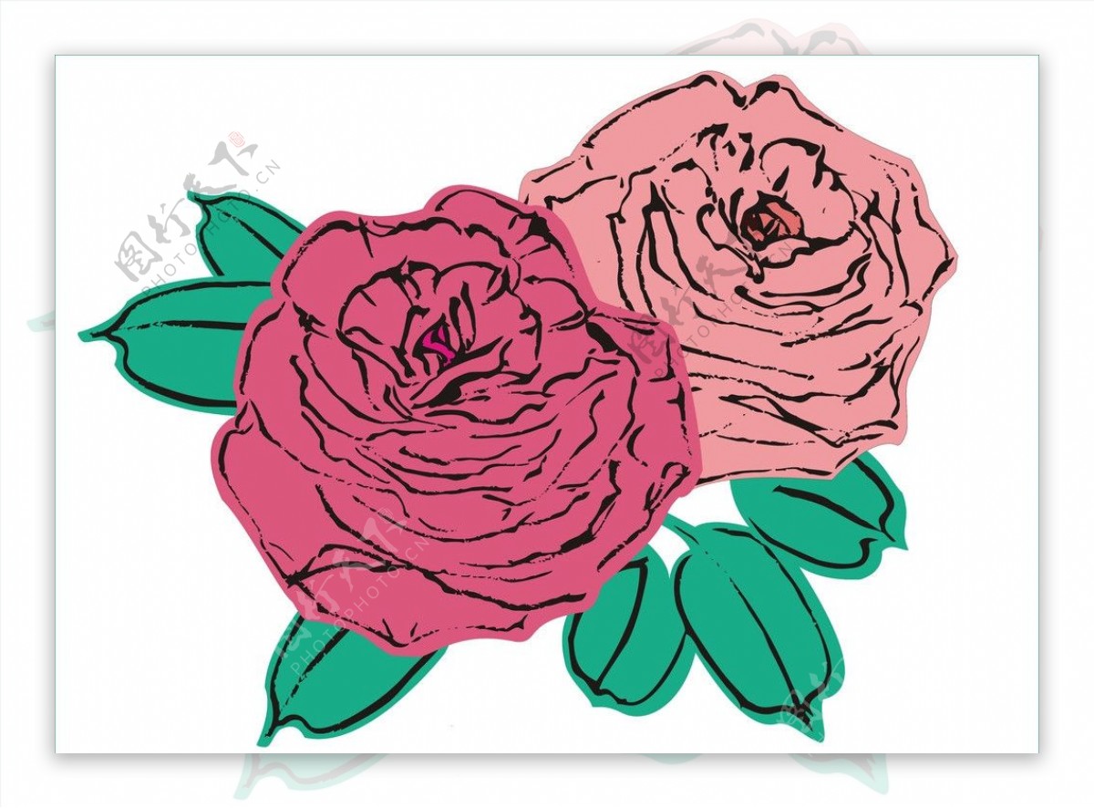 手绘矢量图两朵红玫瑰图片