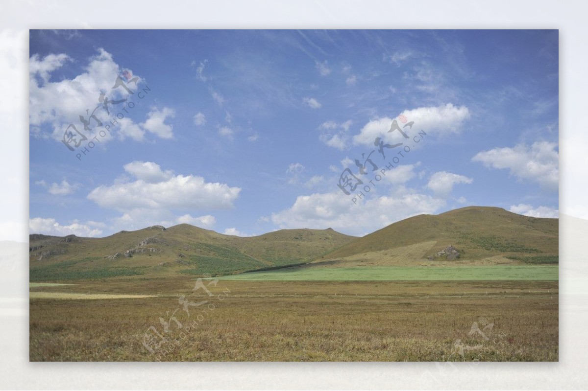 蓝天下的大草原图片