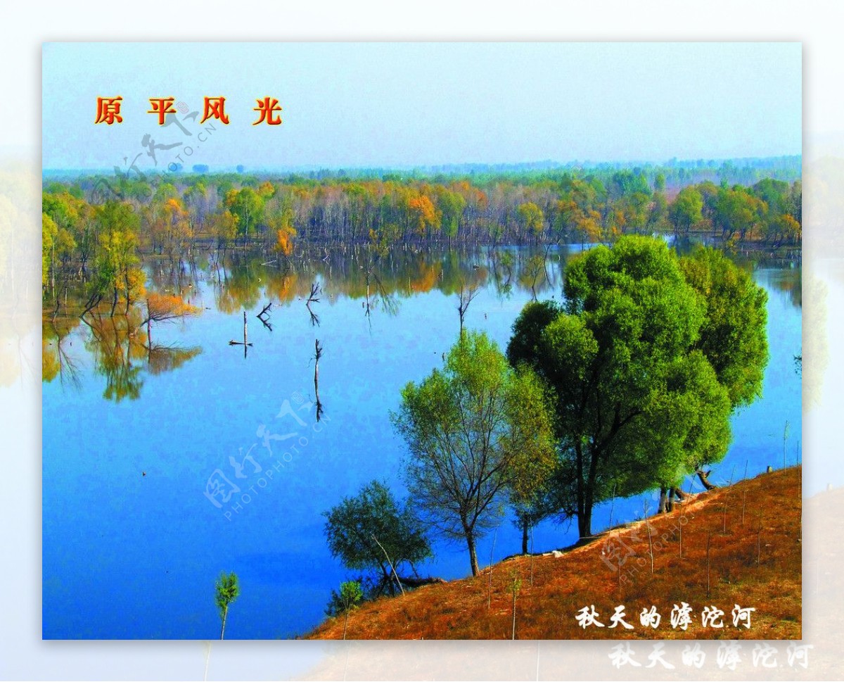 滹沱河秋景图片