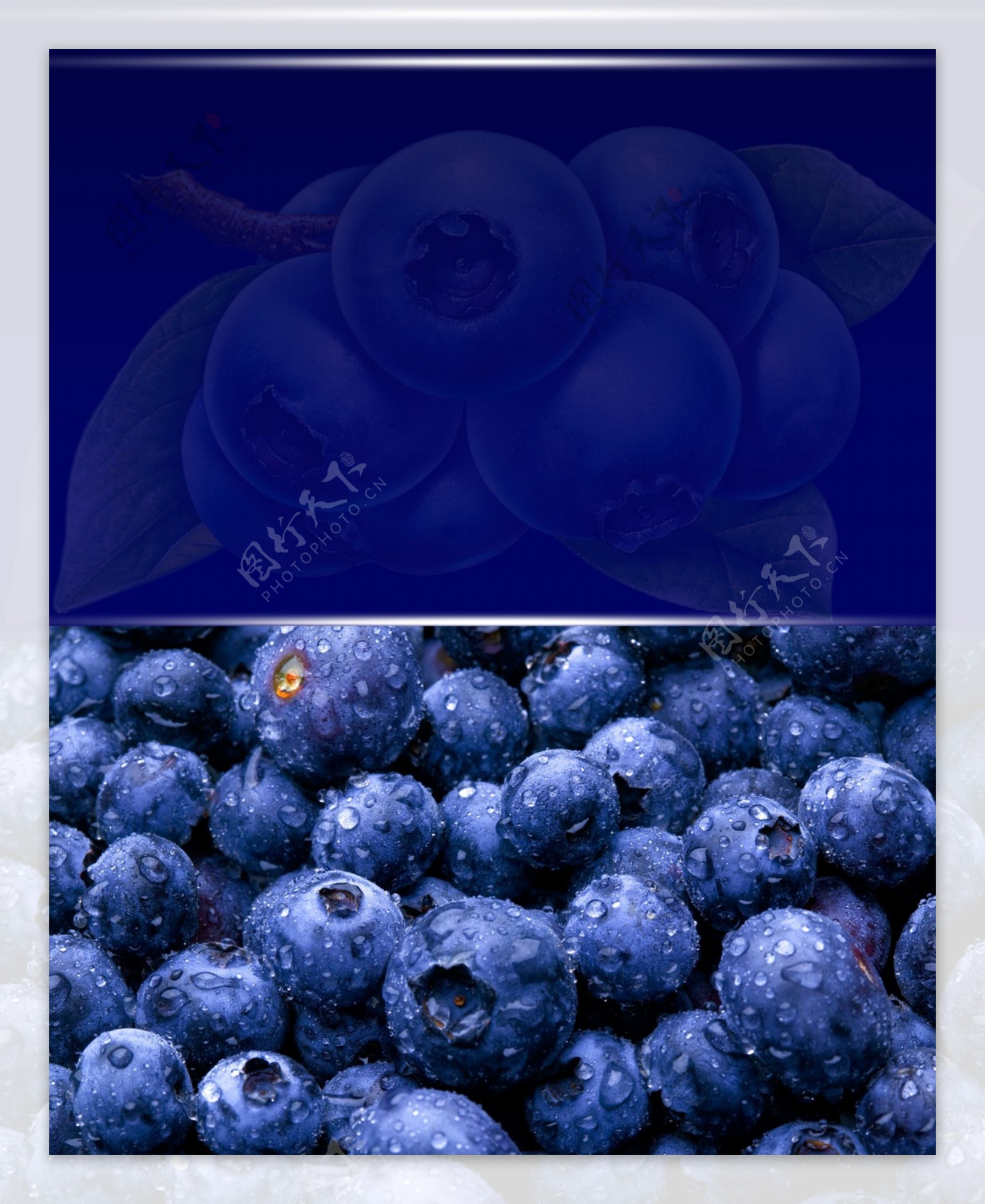 蓝莓PSD分层素材图片