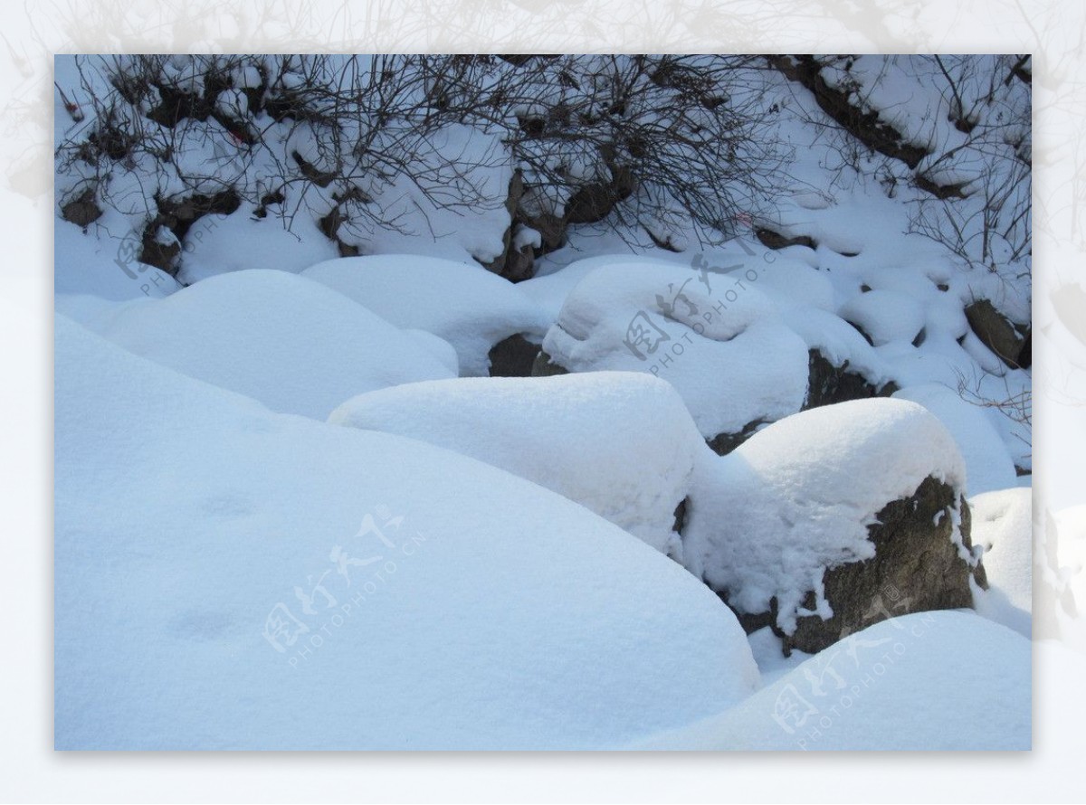 雪后图片