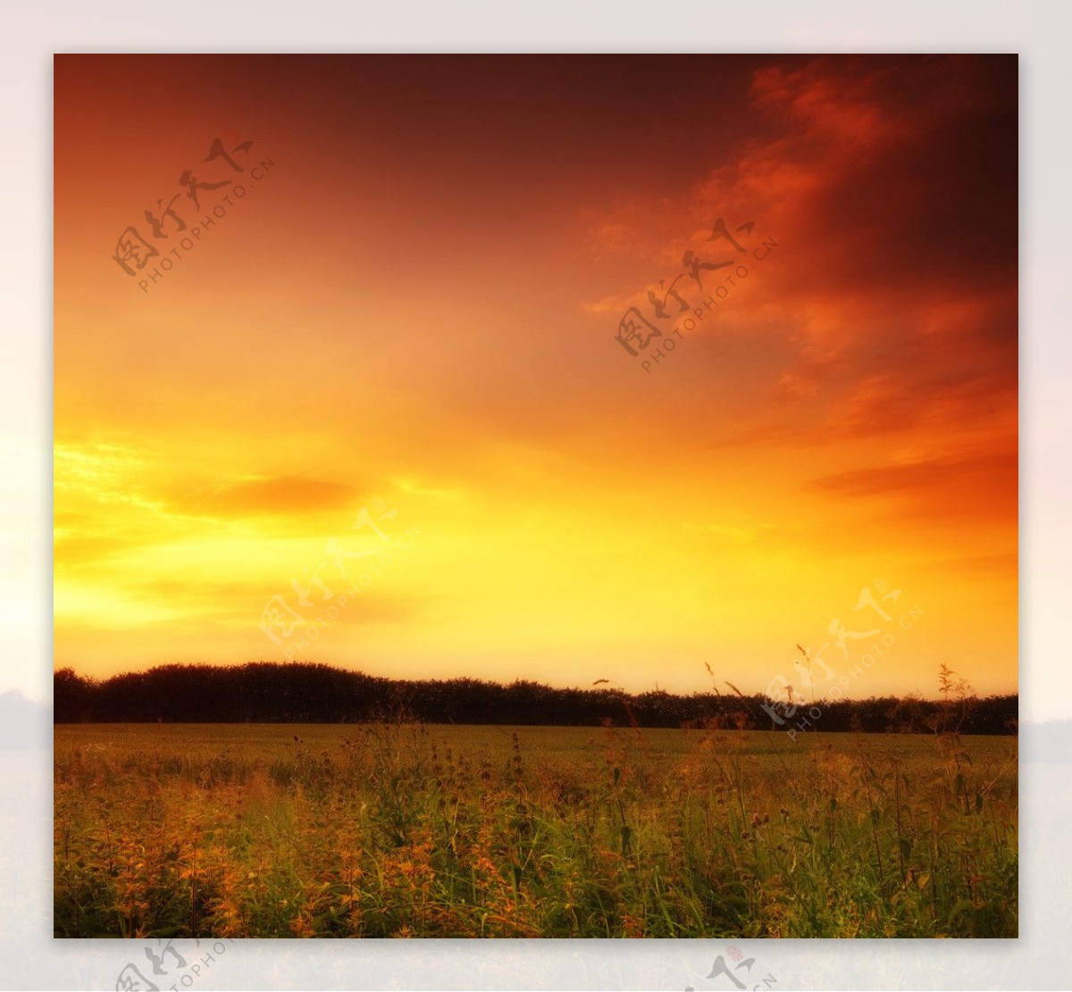 夕阳风光图片