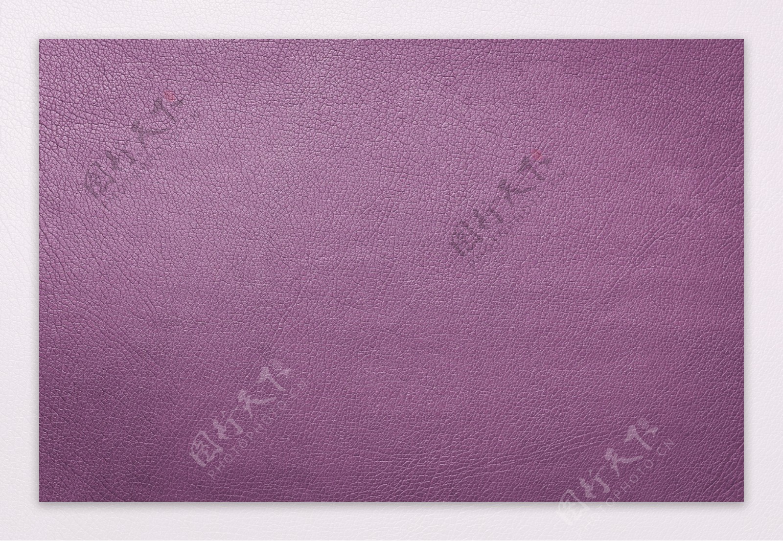 紫色皮质图片