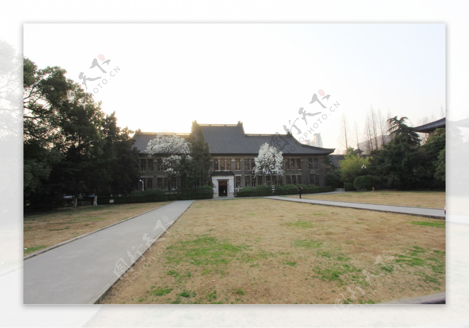 南京大学图片