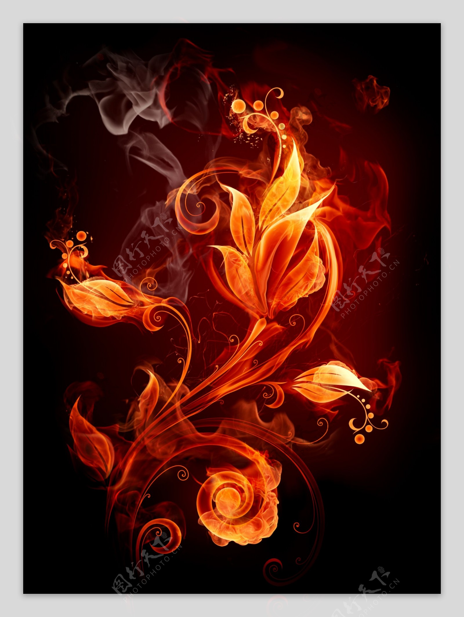 火焰花朵合层图片