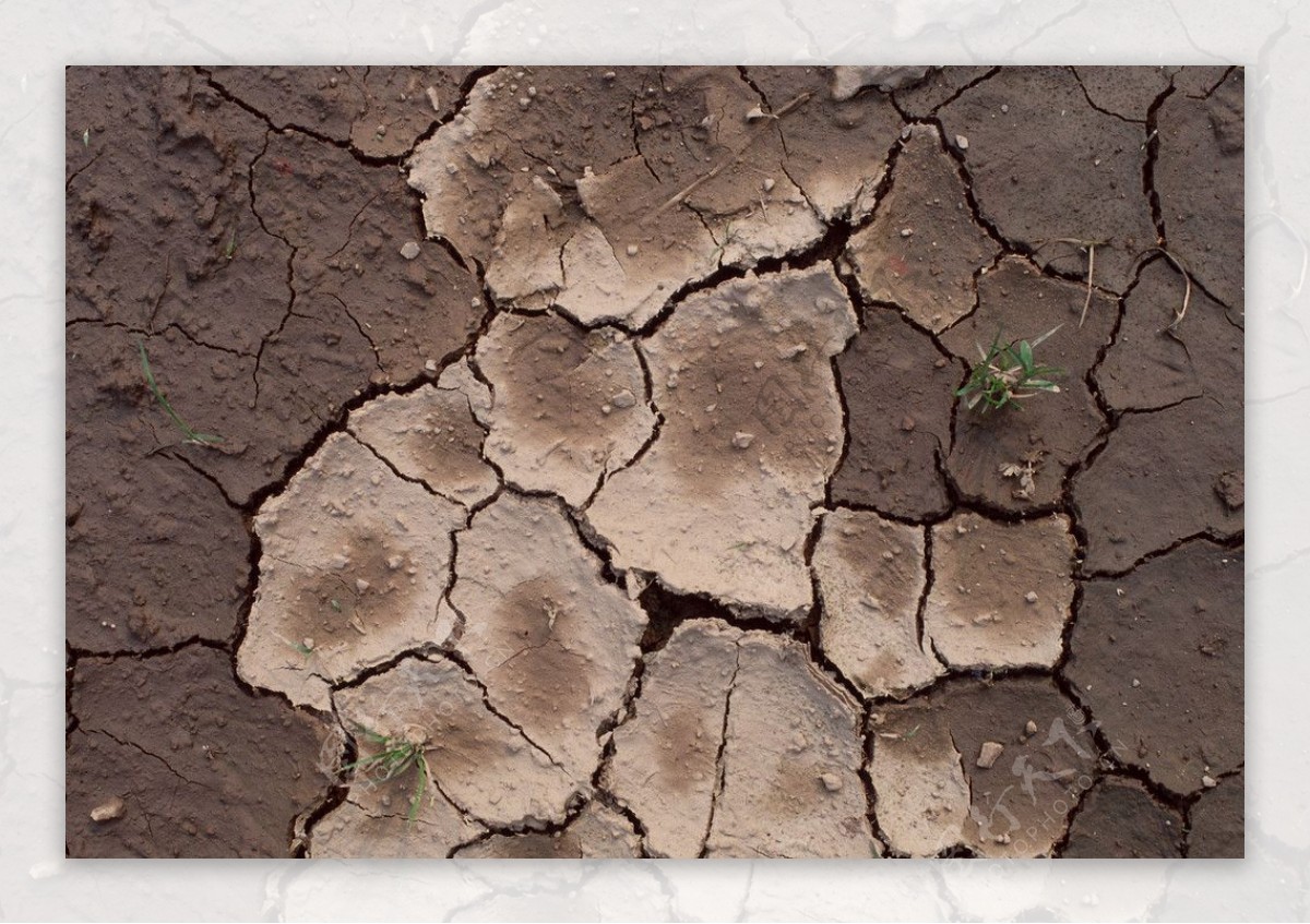 土地龟裂干旱图片