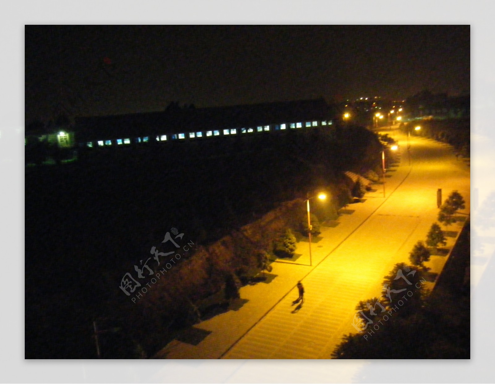云南大学新校区夜路图片