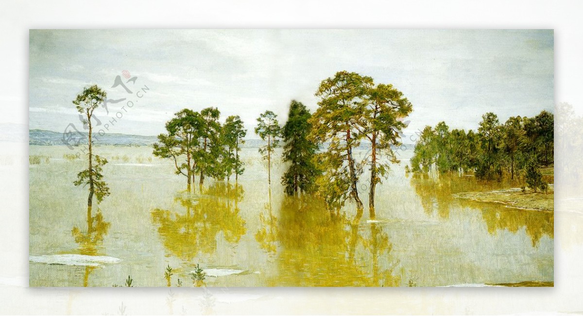 湖中树木图片