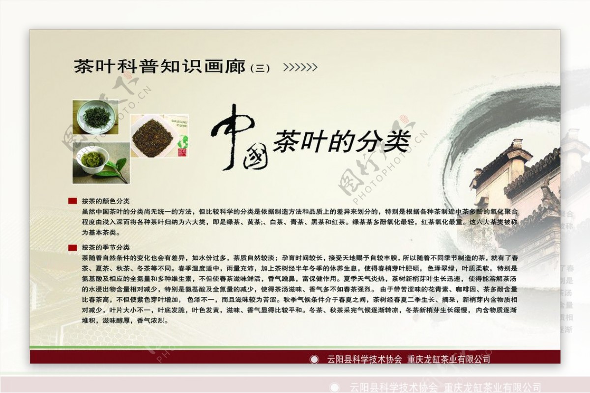 中国茶叶的分类图片