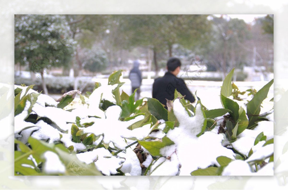 雪天景色图片