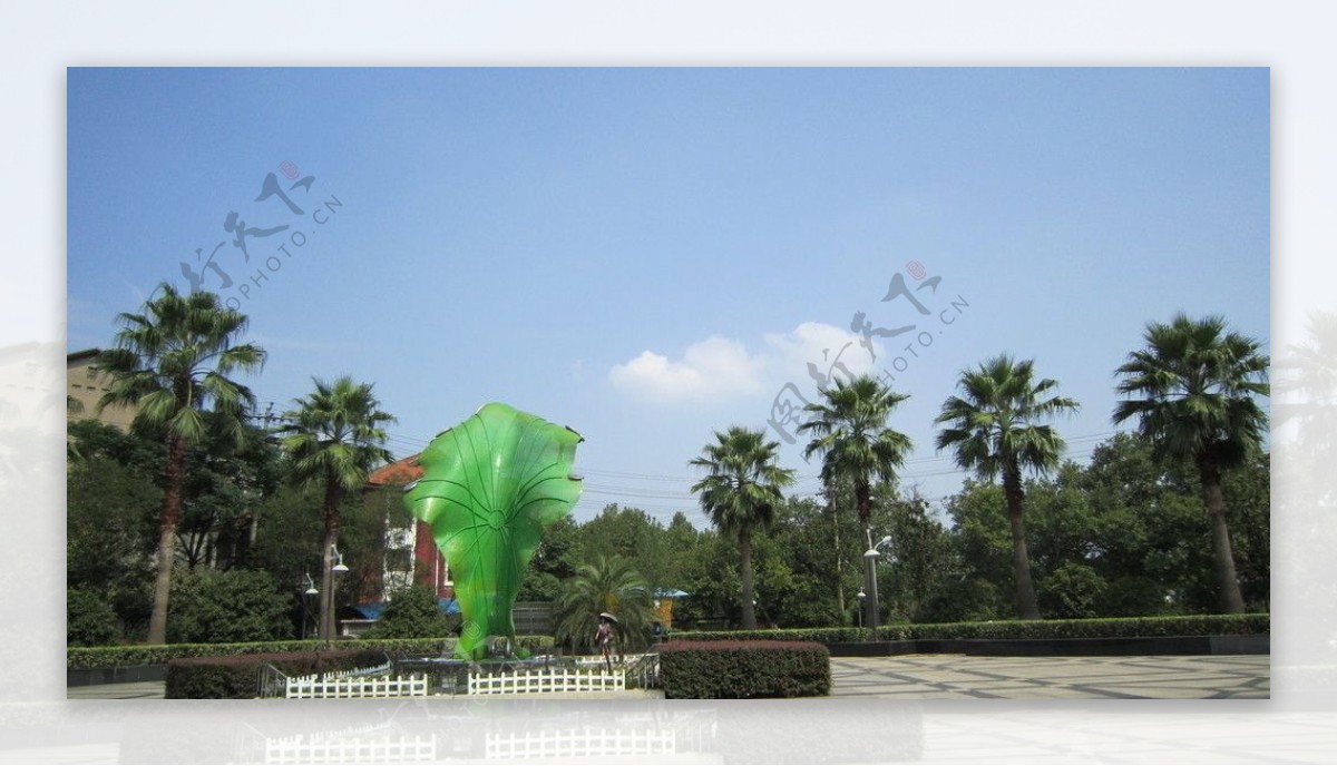 湘潭城市绿化带风景图片