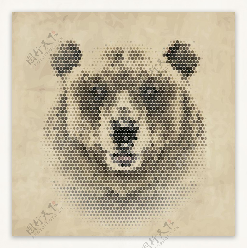 棕熊熊头图片