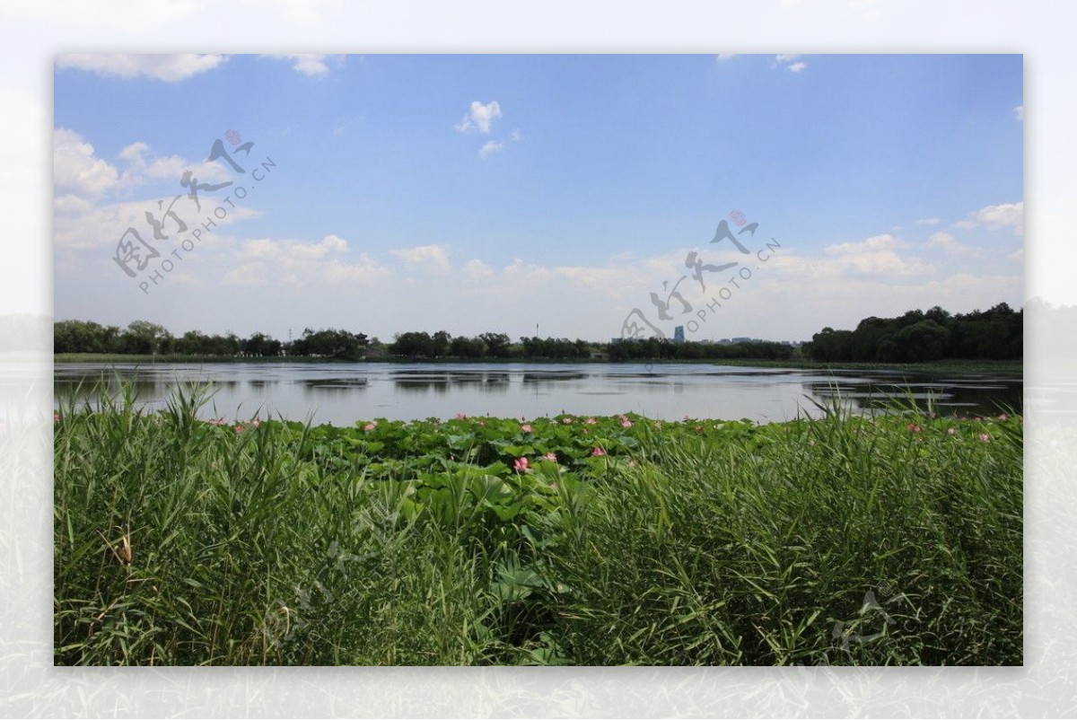 颐和园昆明湖西提风光图片