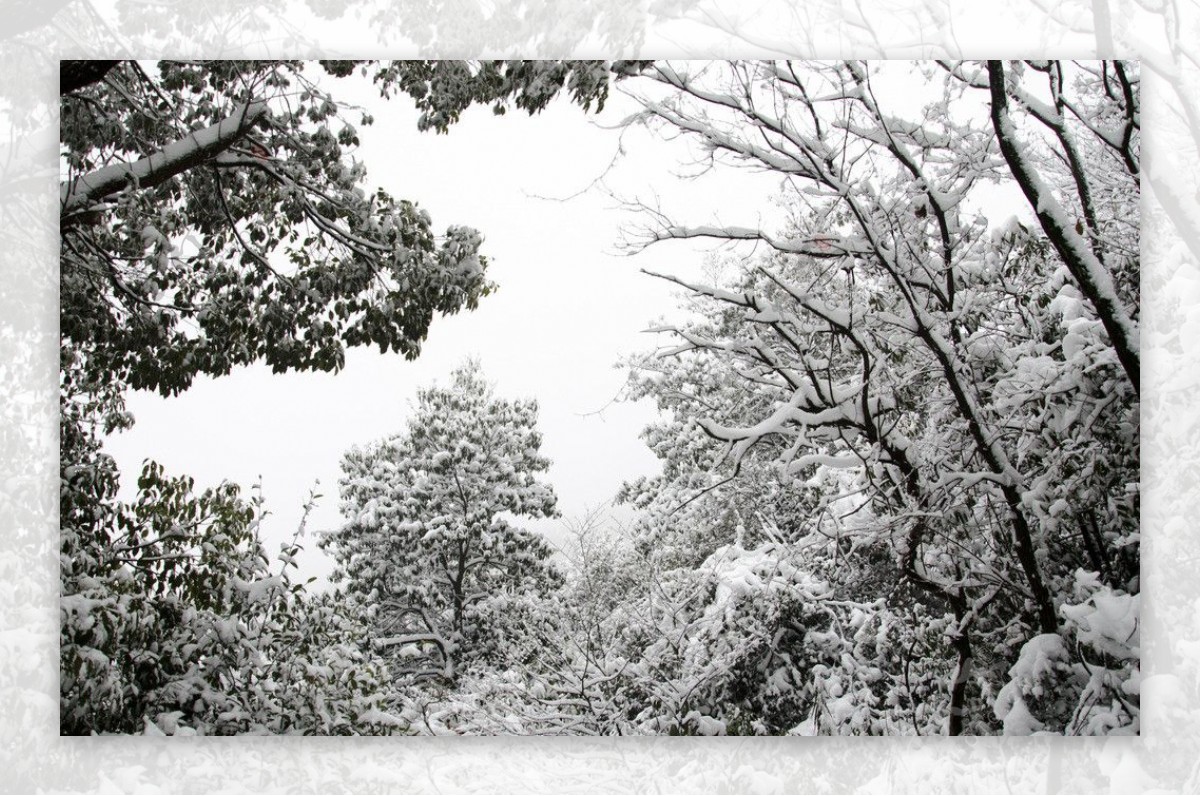 雪景图片