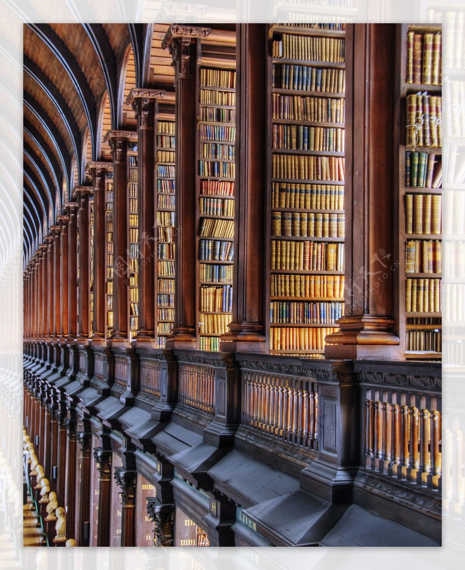 都柏林大学图书馆图片