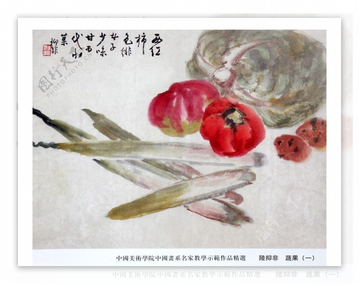 国画小写意花鸟蔬果茭白柿子图图片