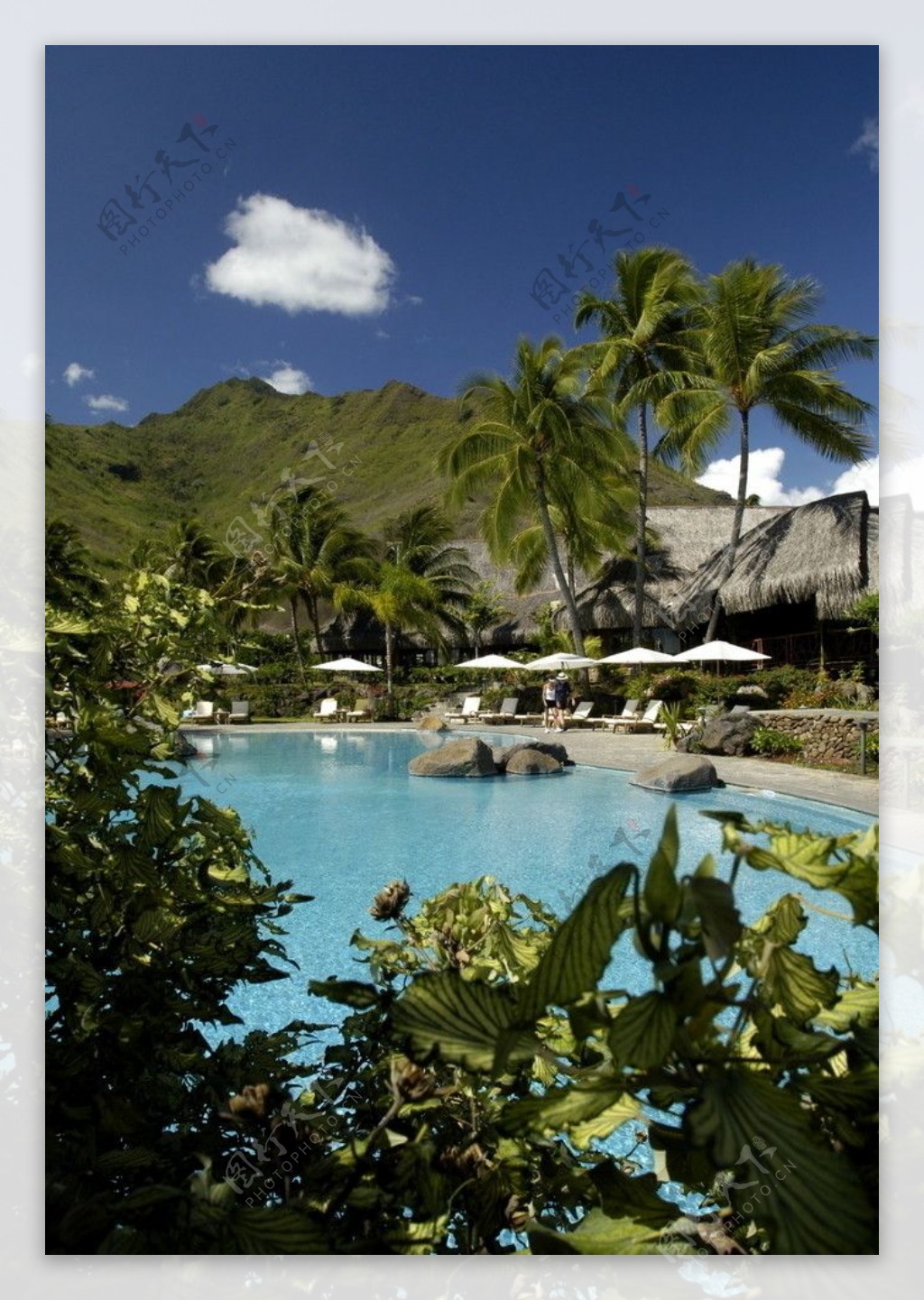 热带度假村游泳池图片