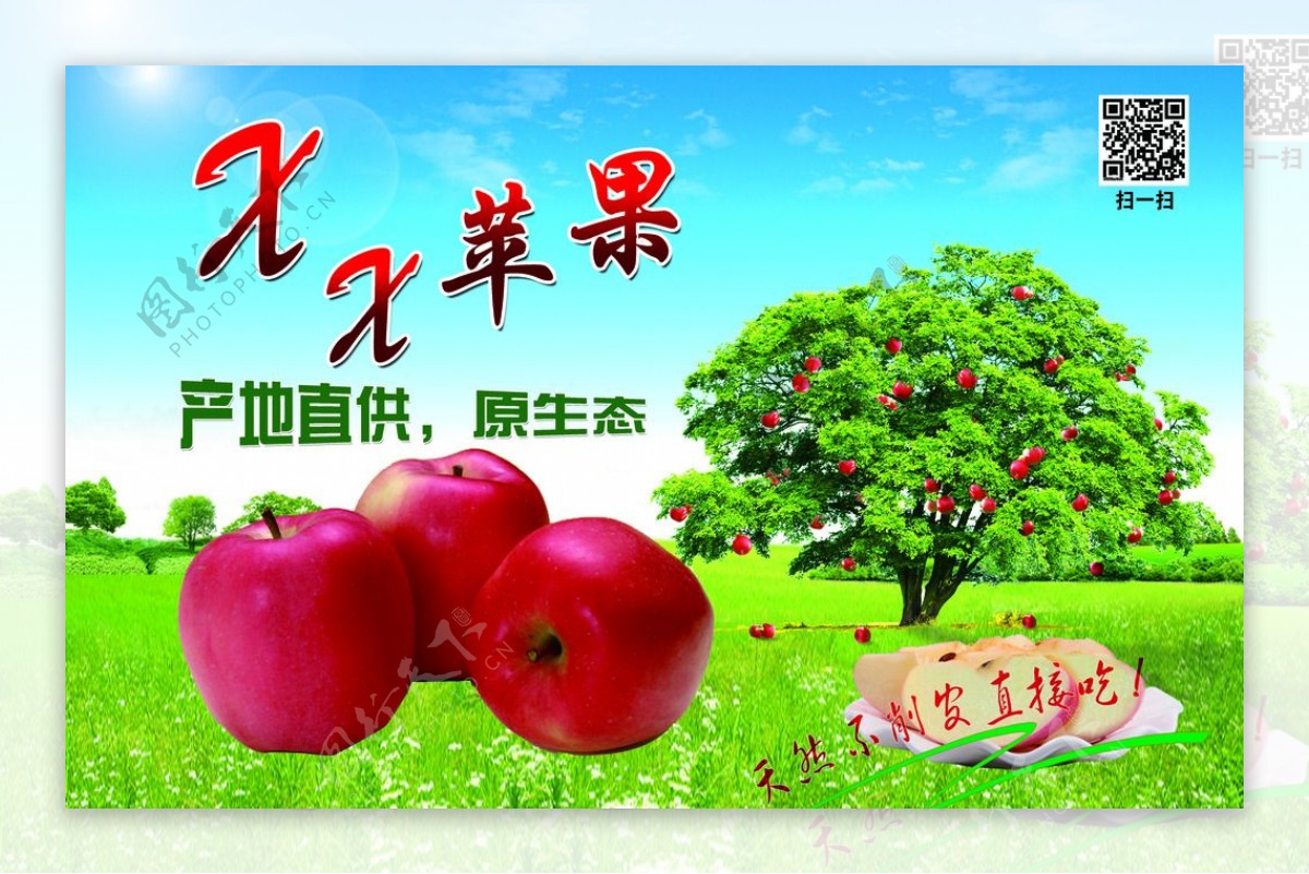 水果苹果展板图片