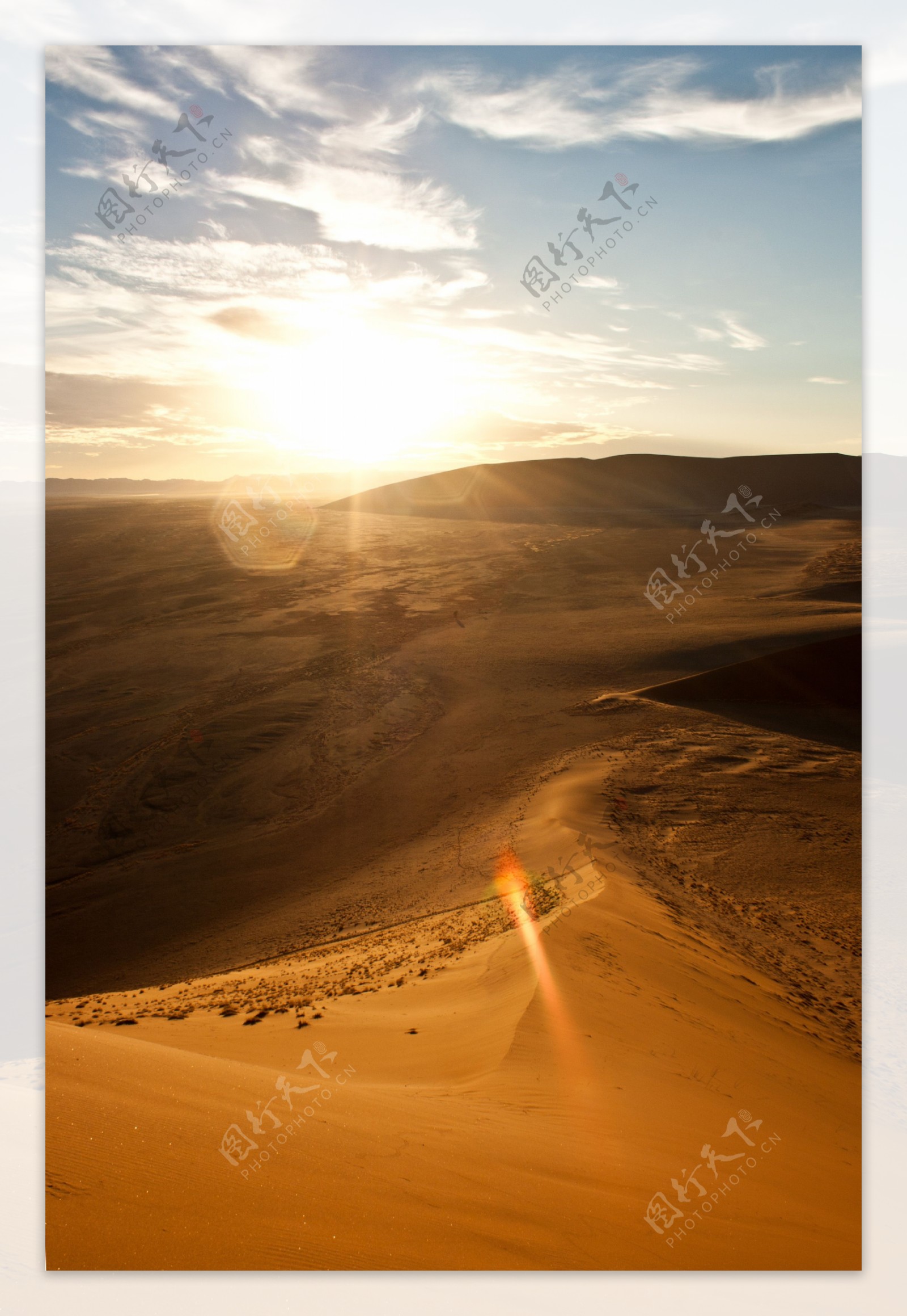 沙漠烈日图片