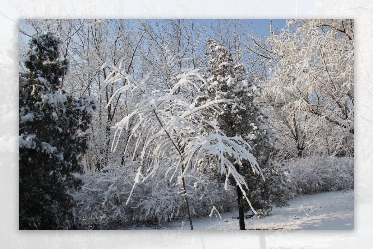 白雪天气图片