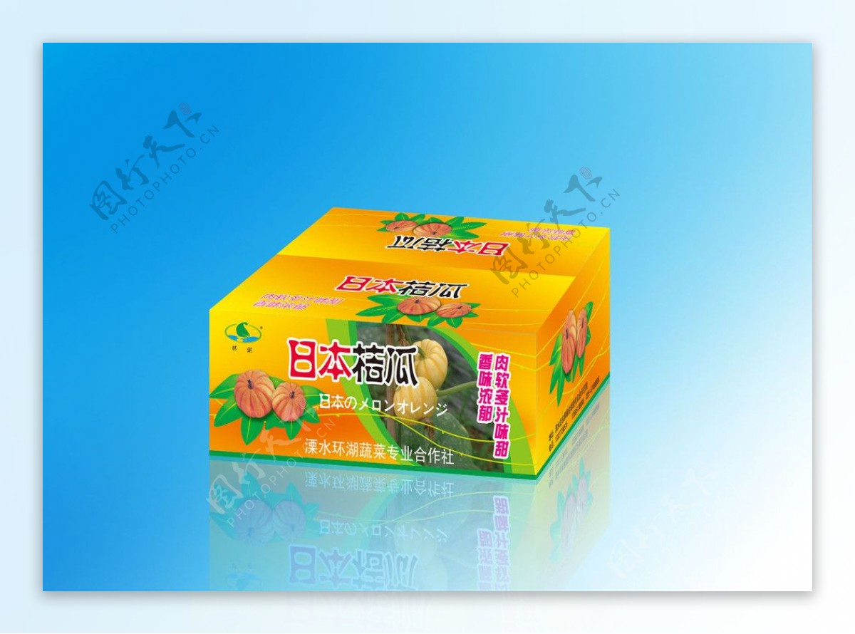 日本桔瓜包装展开图图片