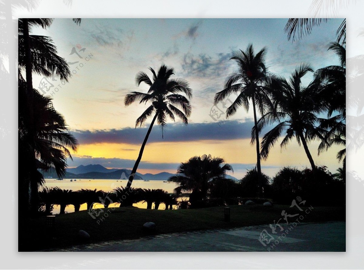 椰岛风情晨景图片