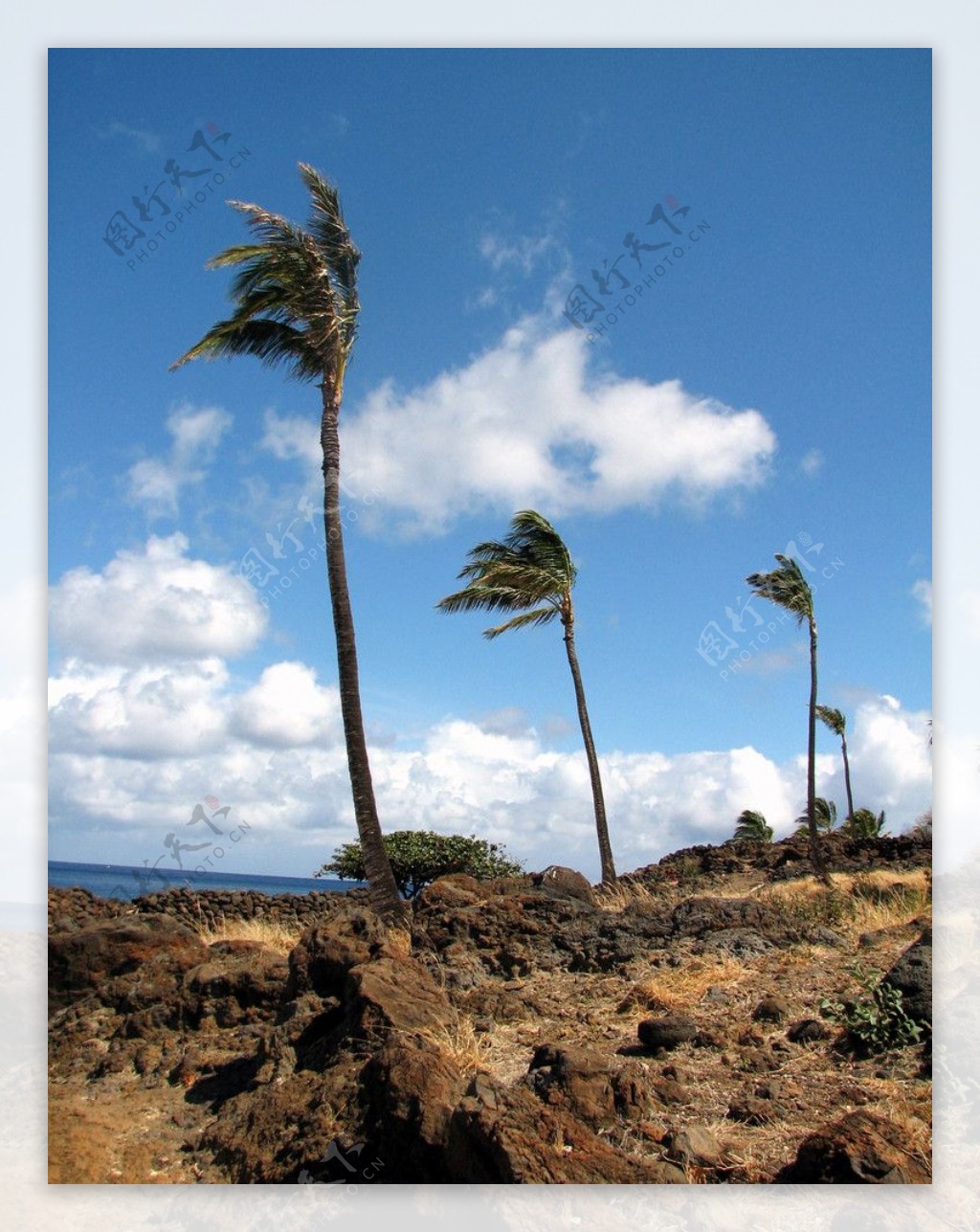 夏威夷海岸风光图片