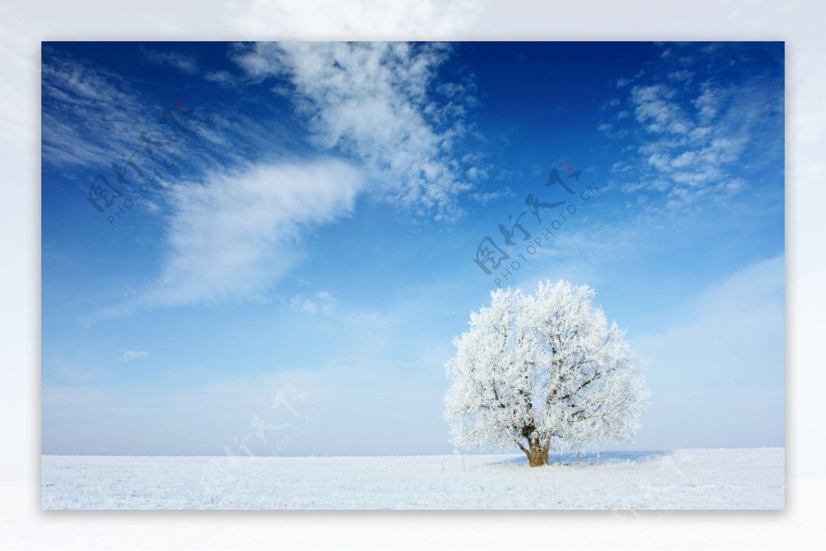 茫茫原野冬季雪景图片