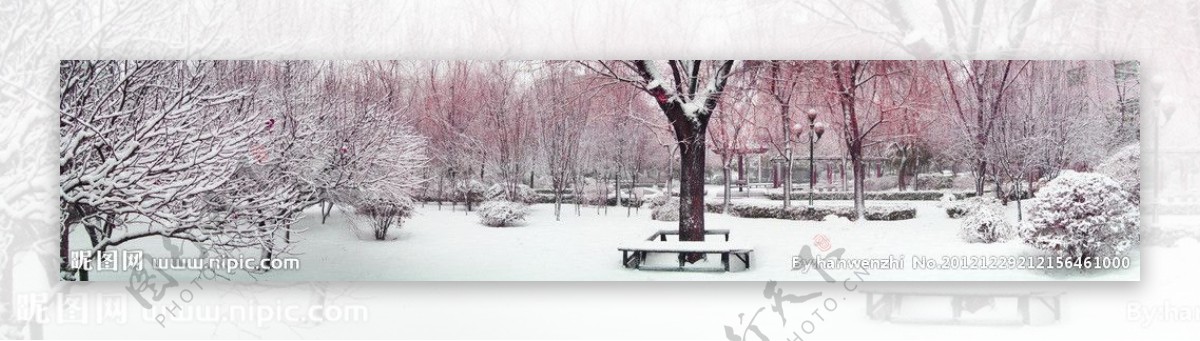 雪后园林景观图片