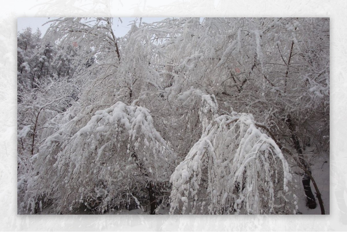 雪景图片