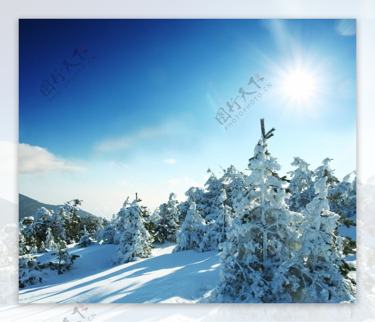 冬季雪景图片